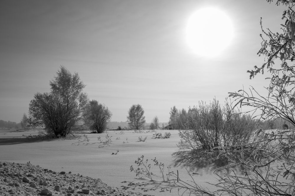 Photograph by Ирина Корнева