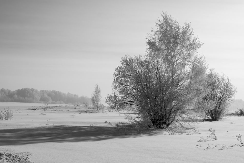 Photograph by Ирина Корнева