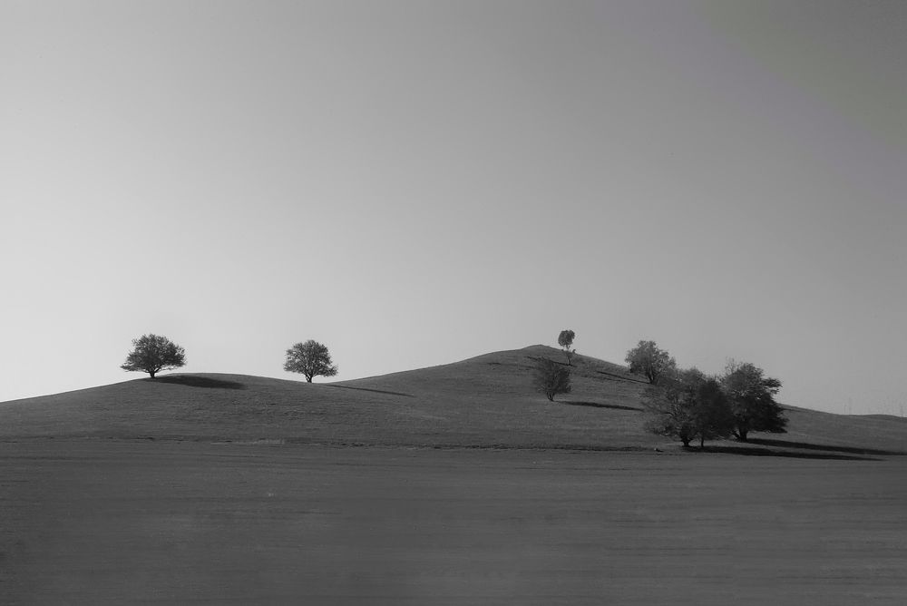 Photograph by Зорин Миша