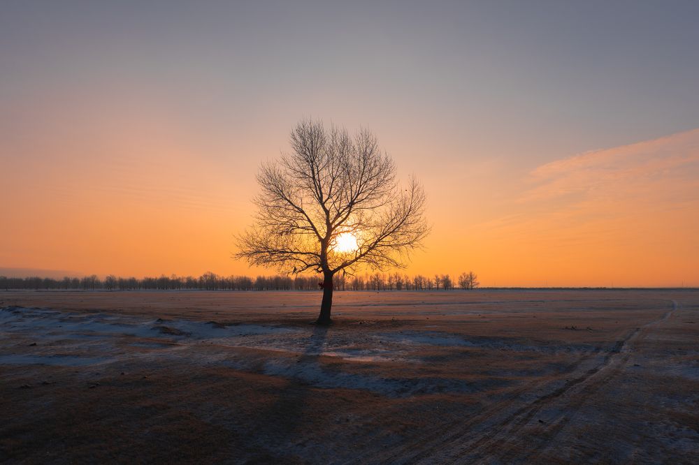 Photograph by Chen Chen