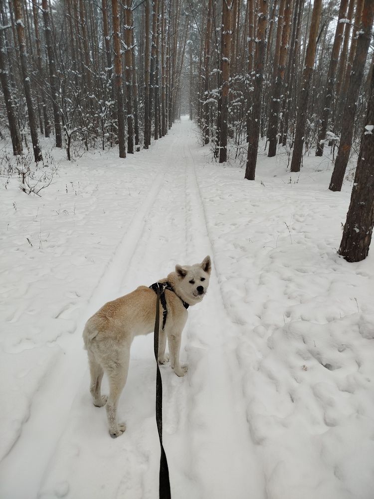 Photograph by Olga Александрова