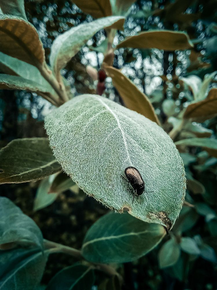 Photograph by Мария Добычина