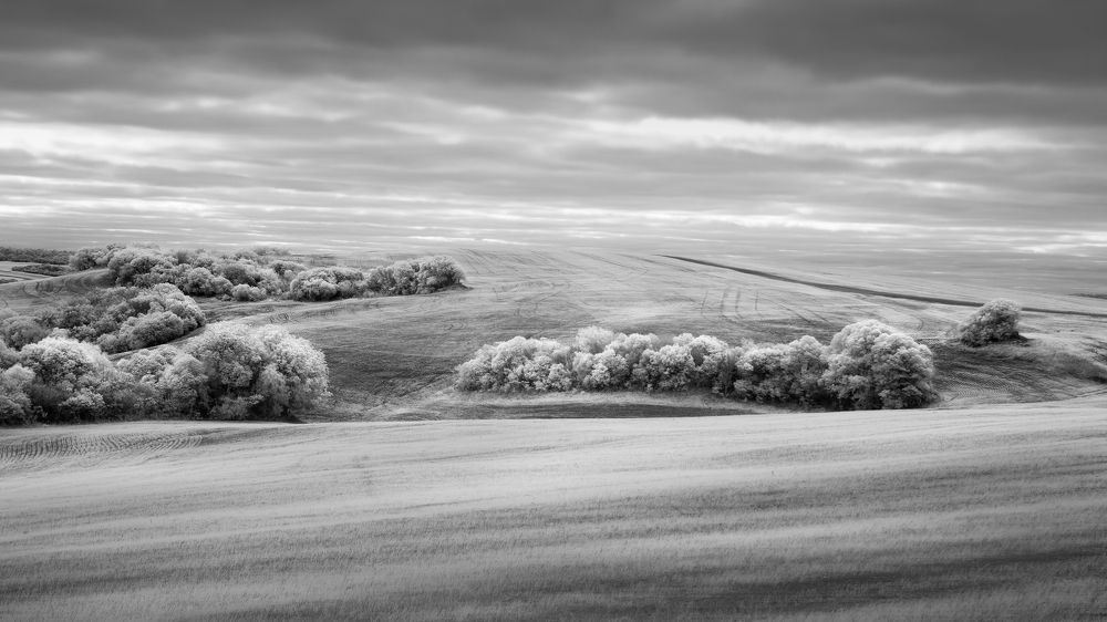 Photograph by Valdir Hobus