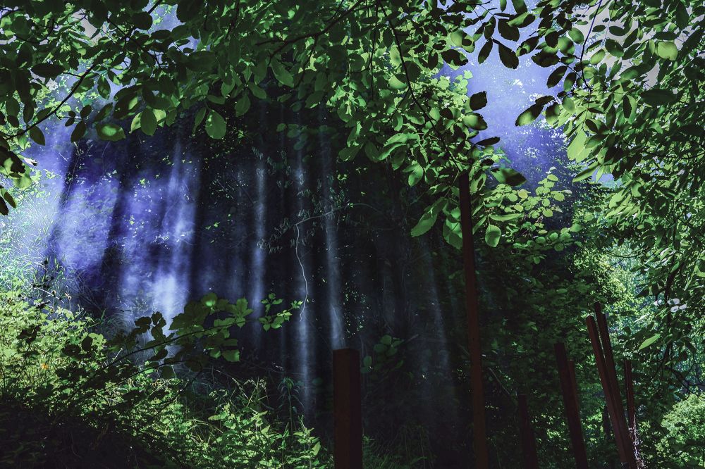 Photograph by mohammad mehdi pourorouj