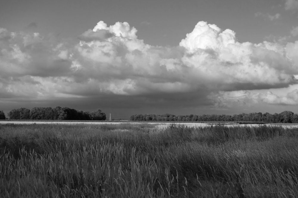 Photograph by Ионова Татьяна