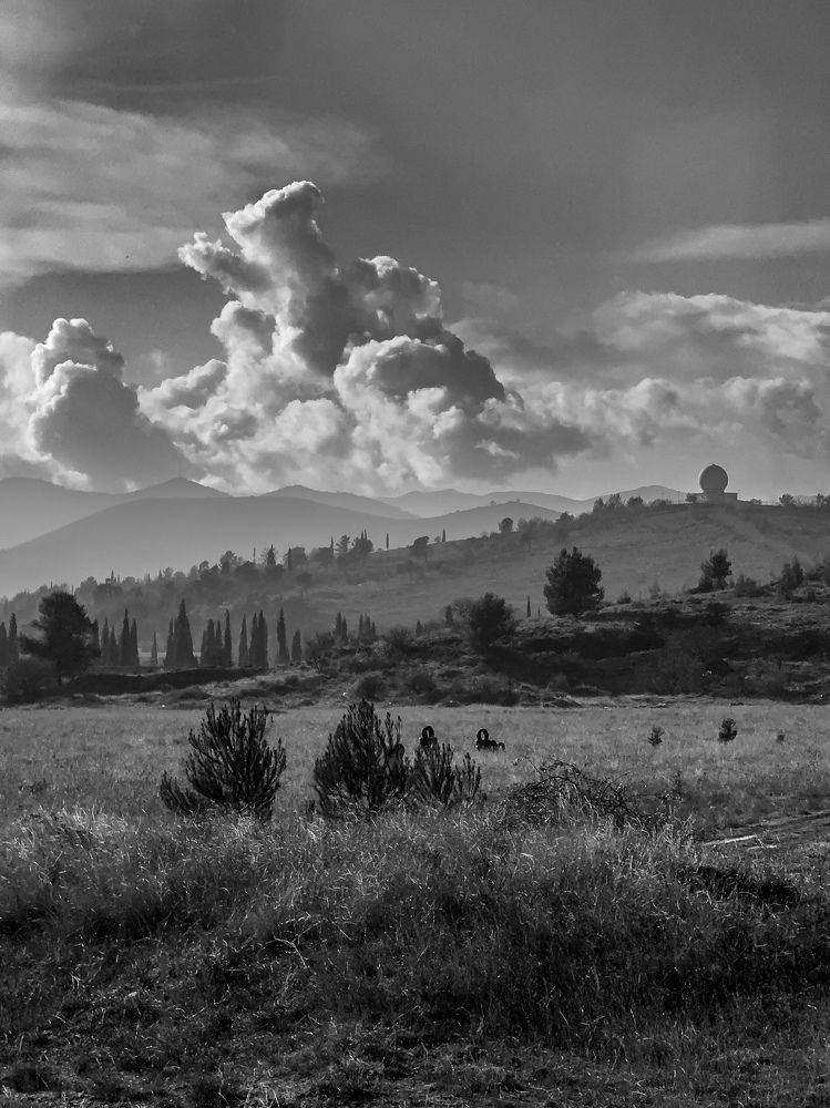 Photograph by Uliana Volegova