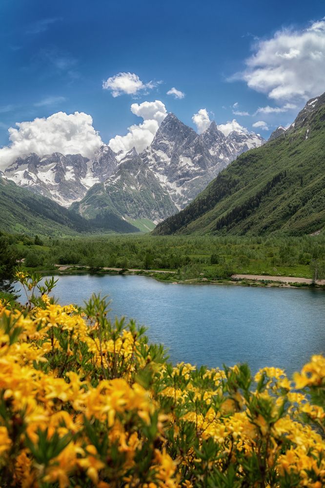 Фотография автора Юлия Март