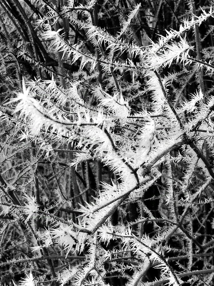 Фотография автора Рузинова Елена