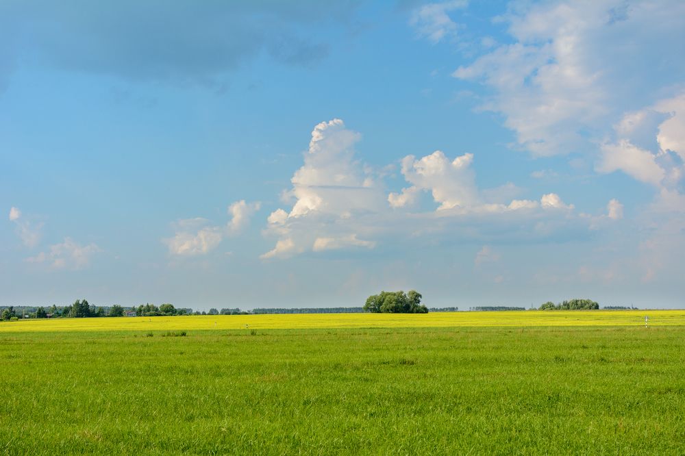 Photograph by Александр Поцелуев