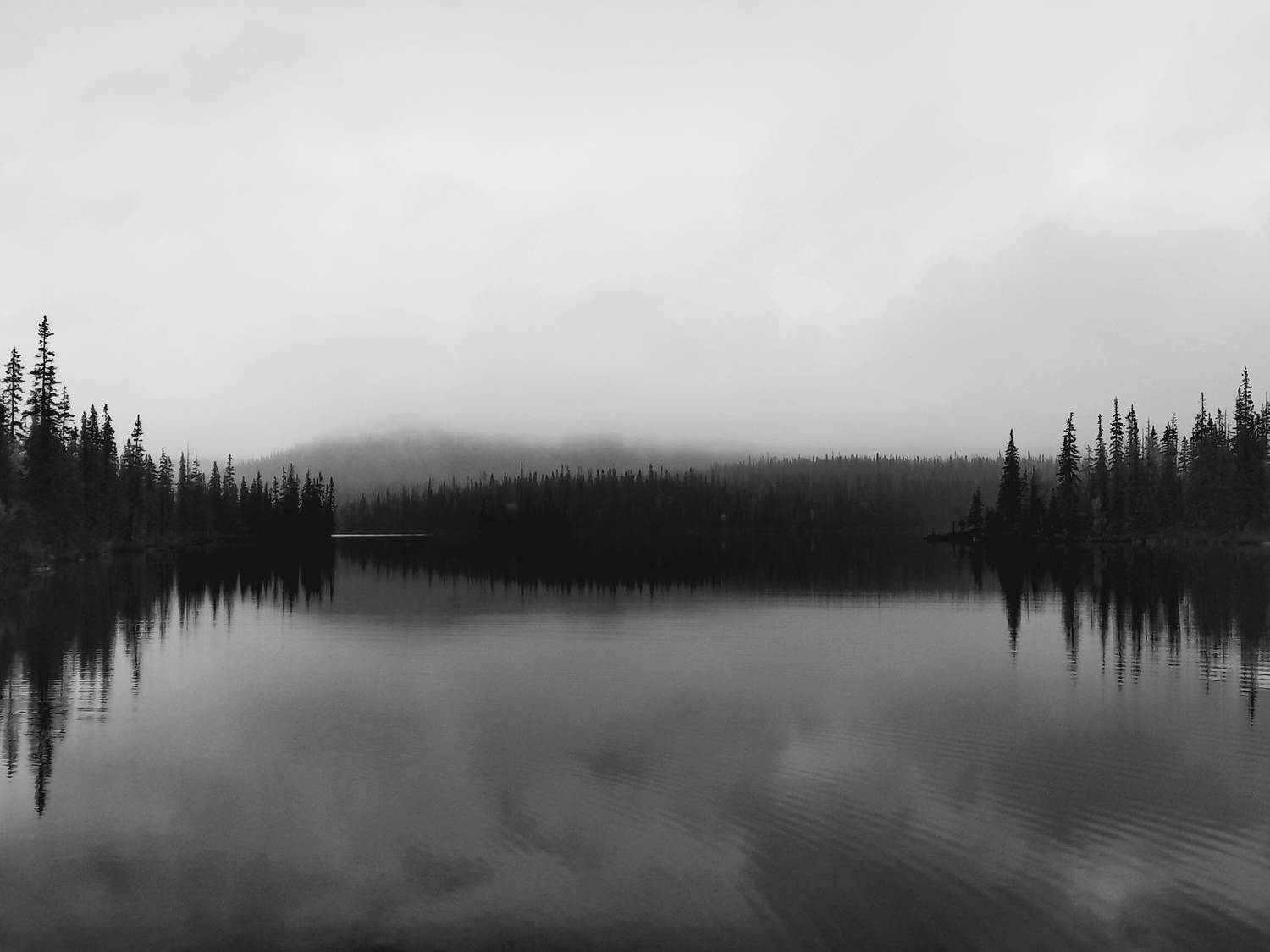 Photo #11531914