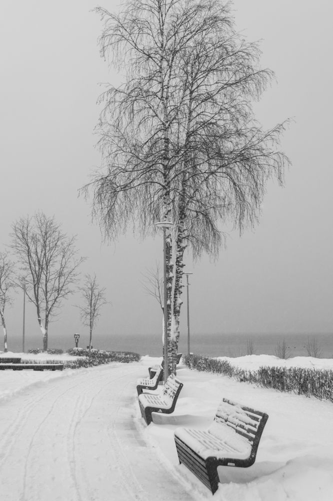 Фотография автора Комаров Иван