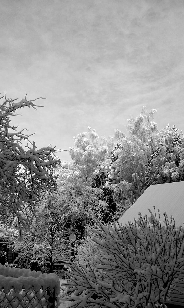 Фотография автора Рузинова Елена