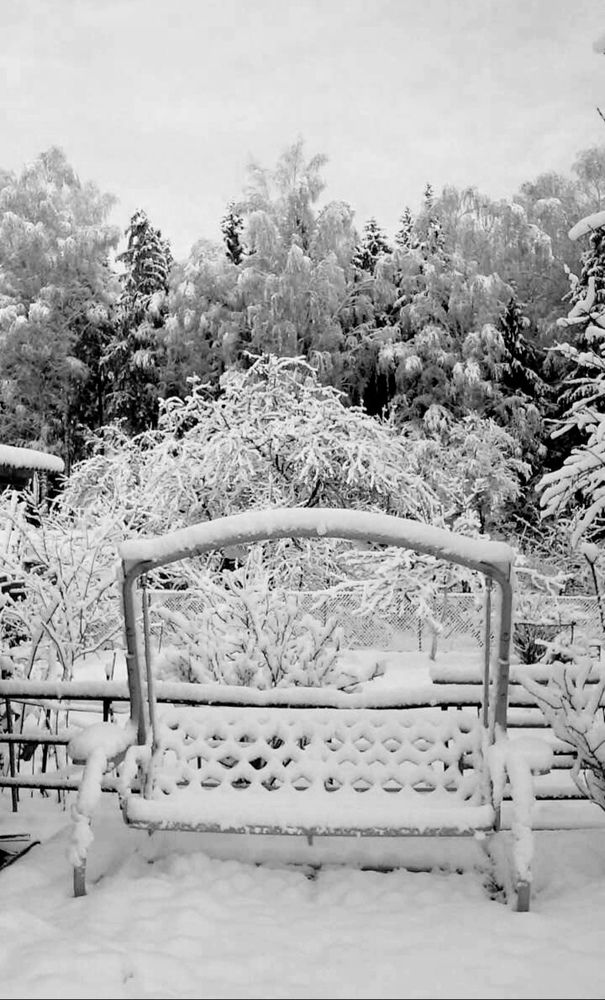 Фотография автора Рузинова Елена