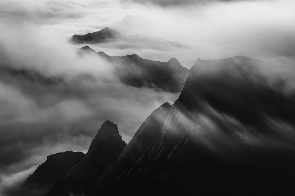 Photograph by Ni Bruce