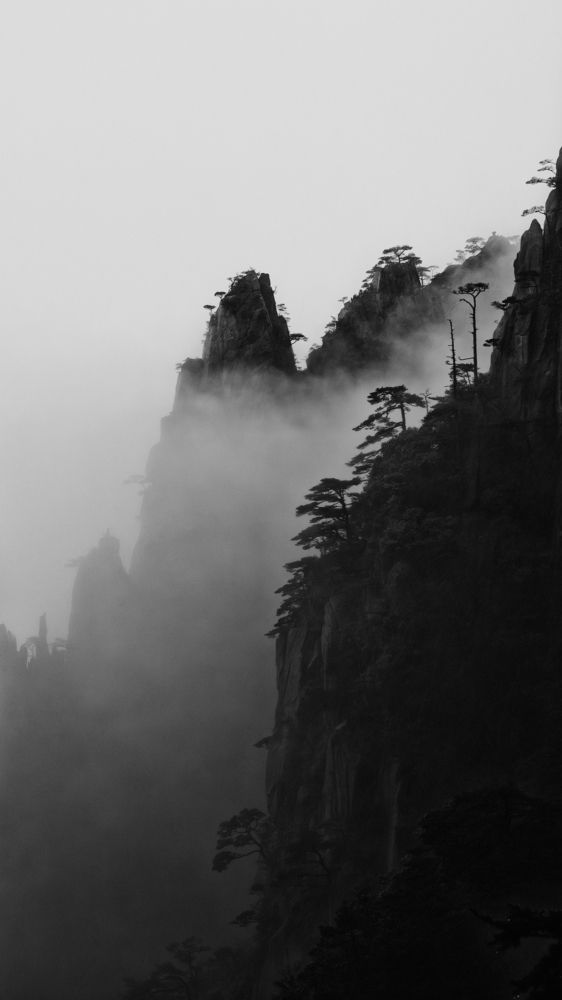 Photograph by Ni Bruce