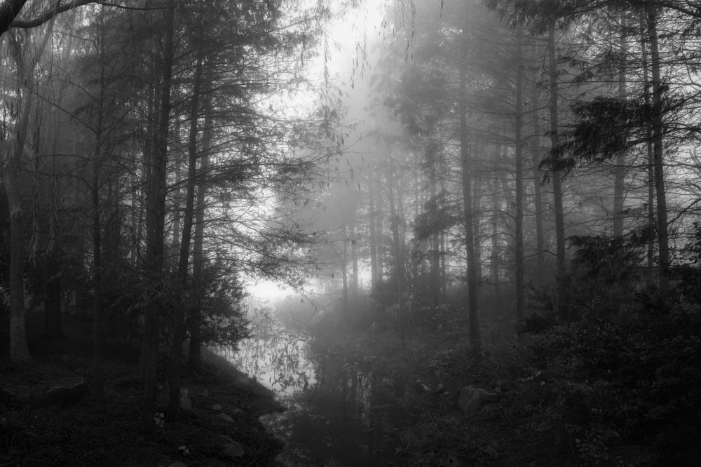 Photograph by Ni Bruce