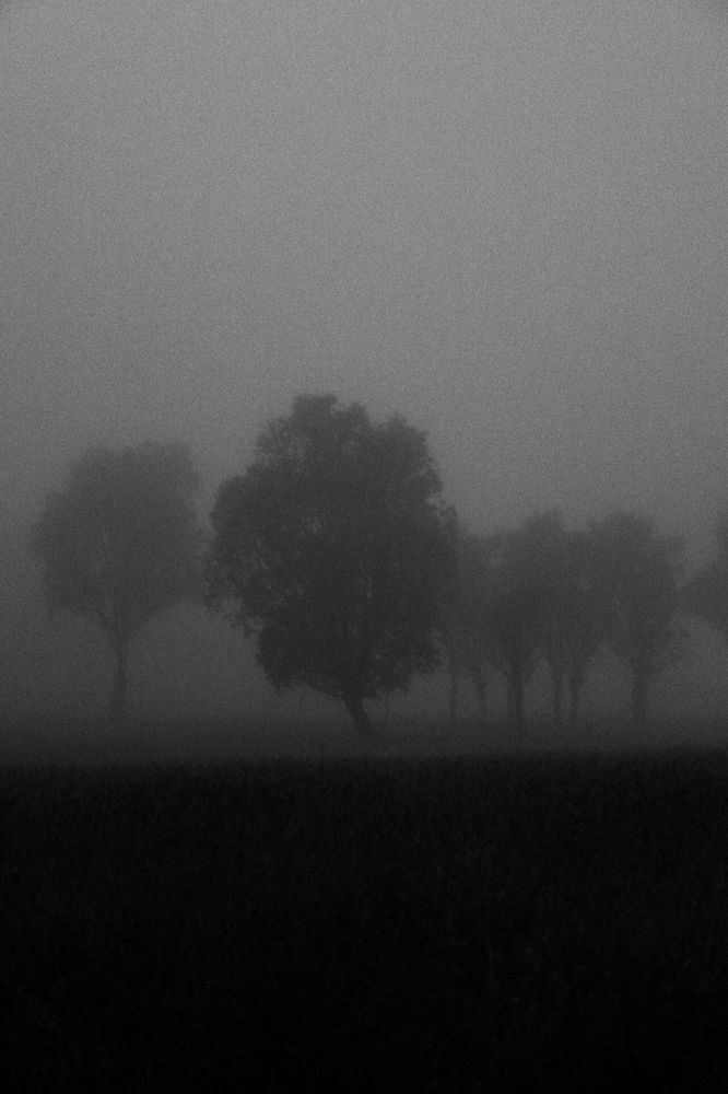 Photograph by Roghayeh Dannandeh