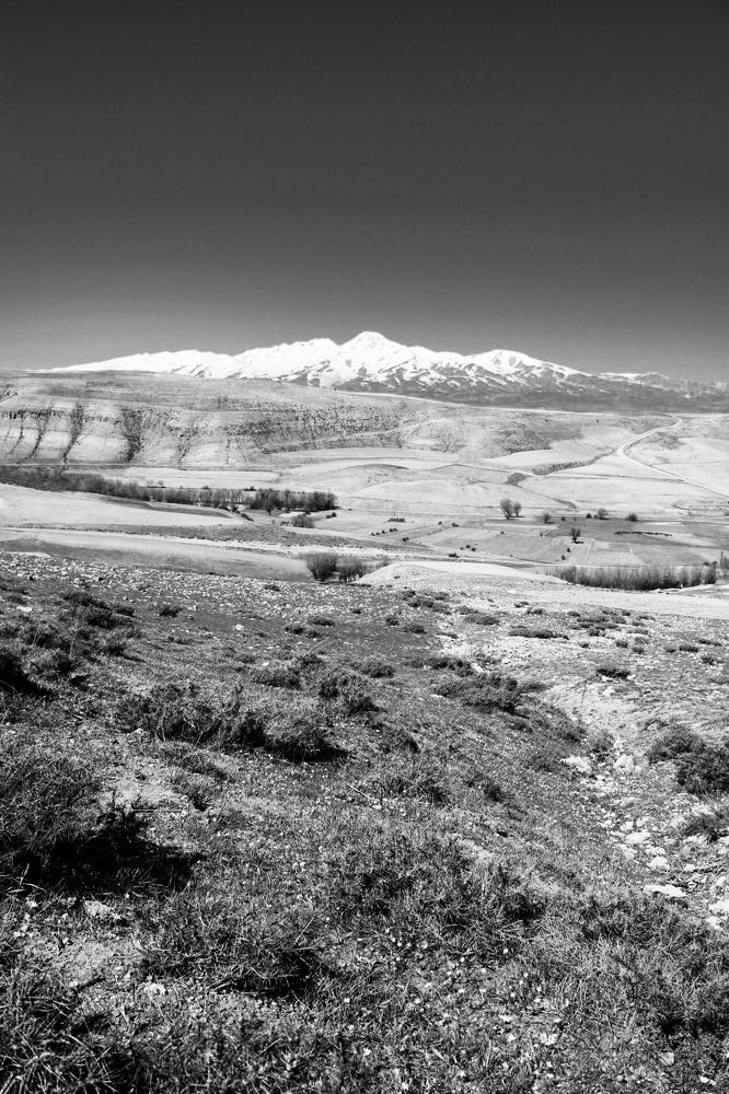 Photograph by Roghayeh Dannandeh