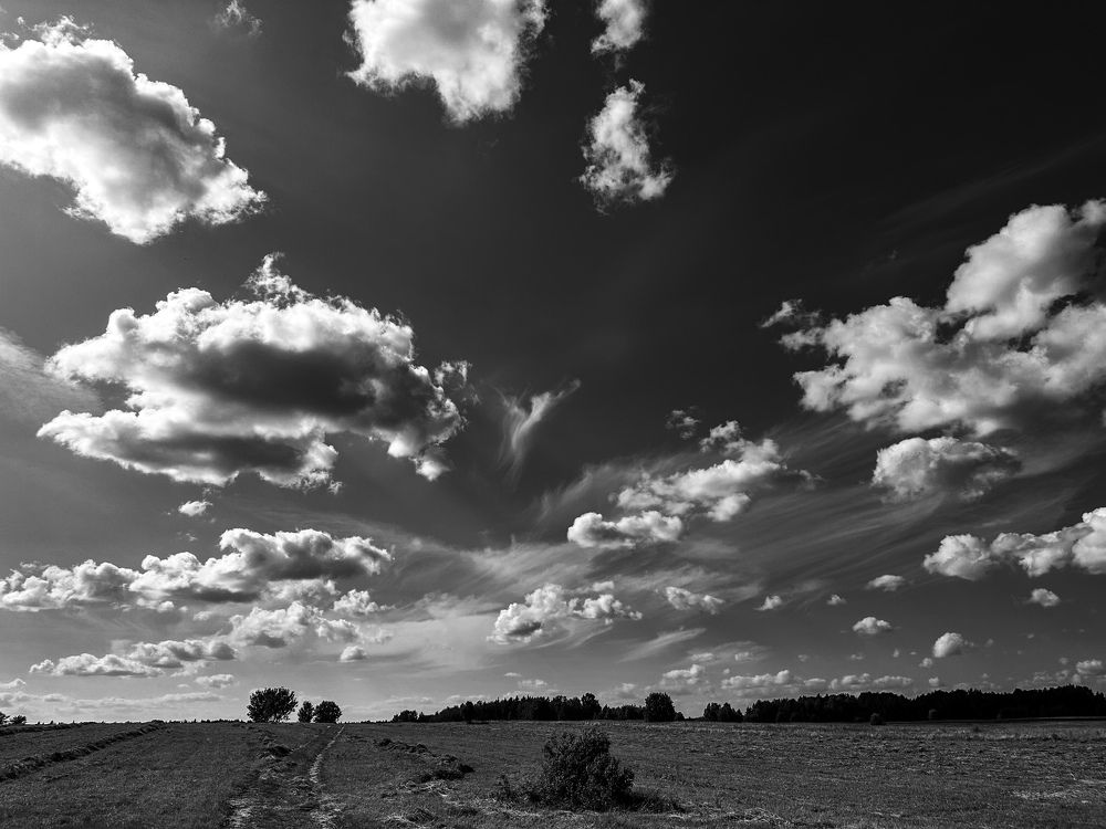 Photograph by Ekaterina Slepneva