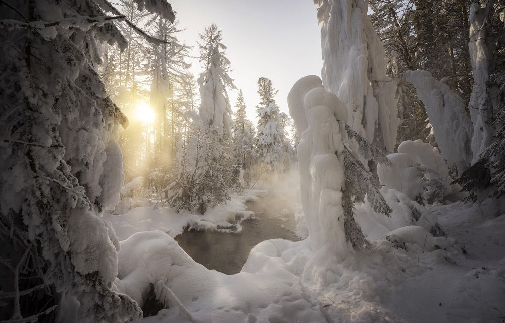 Photograph by Татьяна Добровольская