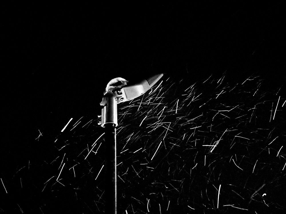 Photograph by Екатерина Салий