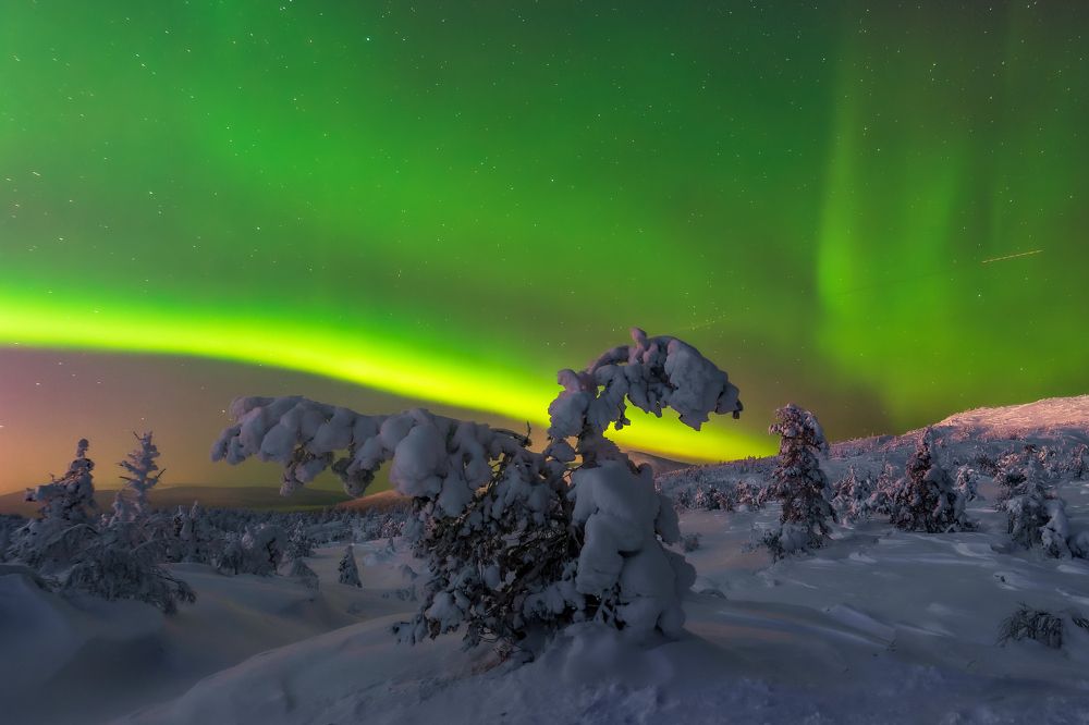 Фотография автора Mika Mgla