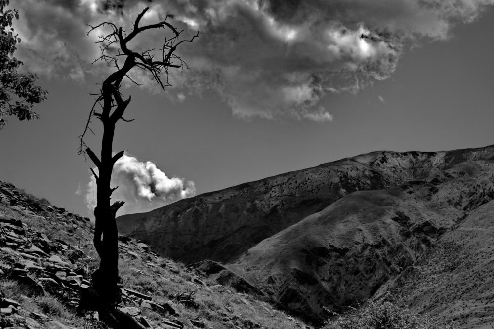 Photograph by Саркаров Юсиф