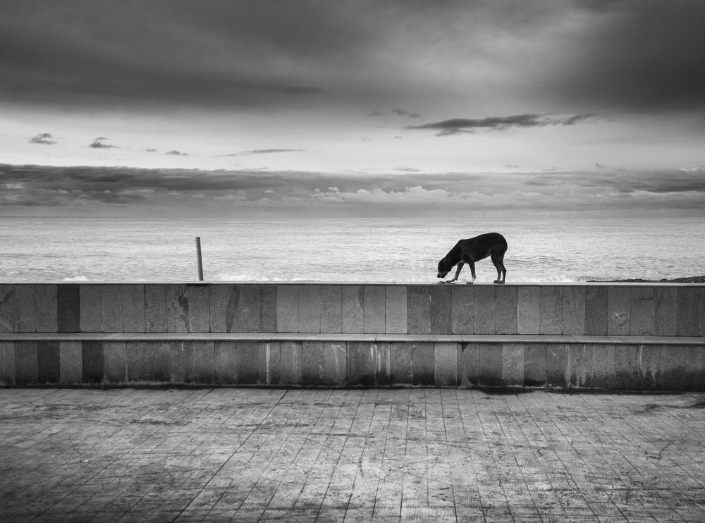 Photograph by Sergej