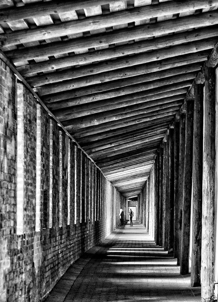 Photograph by Сергей Кошин