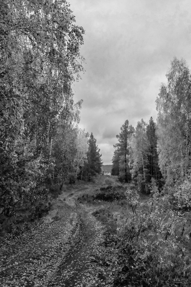 Photograph by Артём Воронин