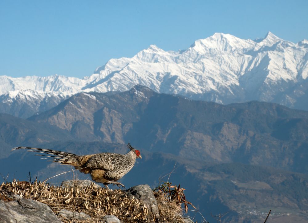 Photograph by Abhishek Manna