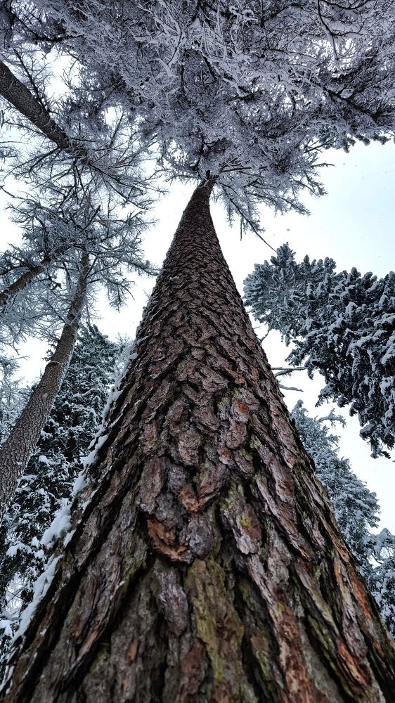 Фотография автора Ekaterina Sapezhinskaya