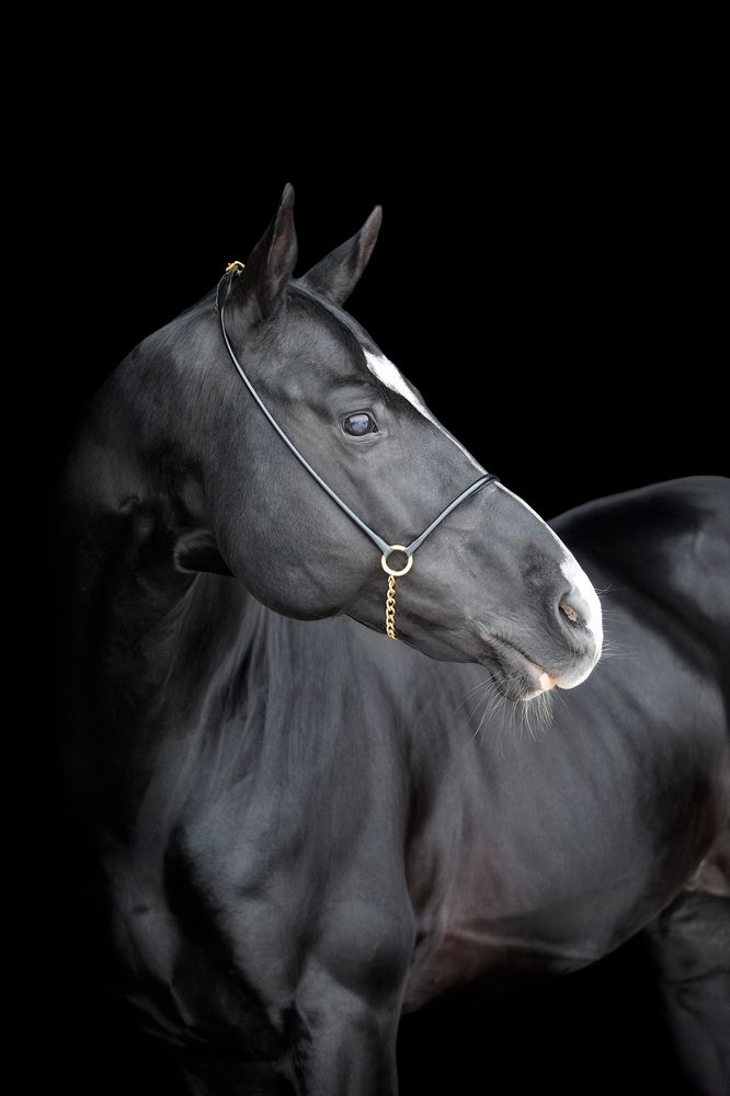 Photograph by Полина Фрольцова