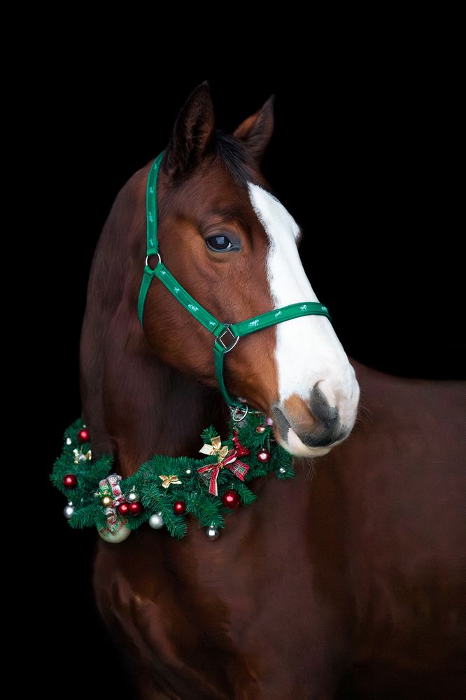 Photograph by Полина Фрольцова