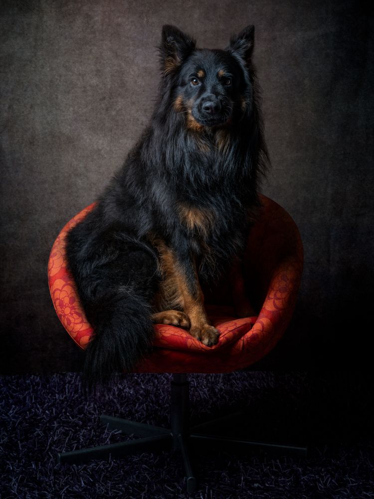 Фотография автора Christian Kieffer