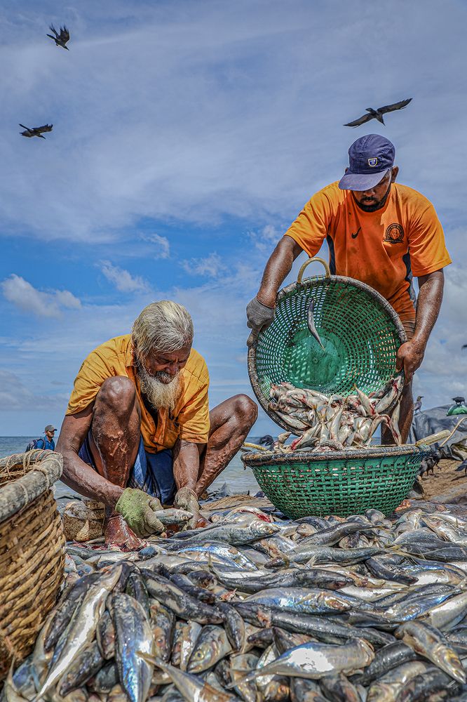 Фотография автора Manjula Perera