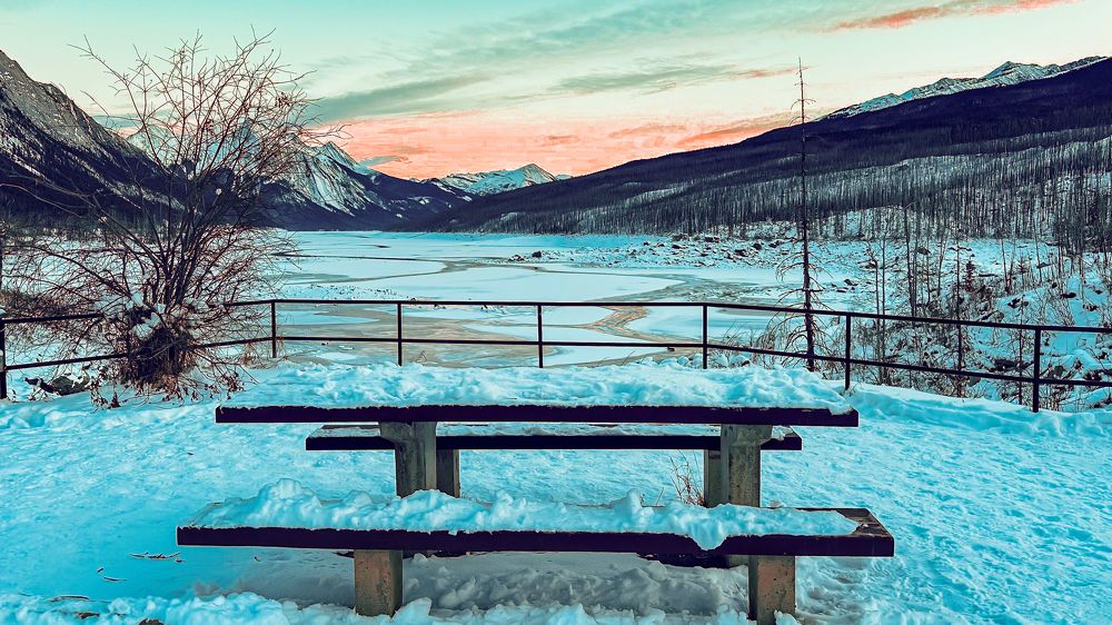 Photograph by Carolina