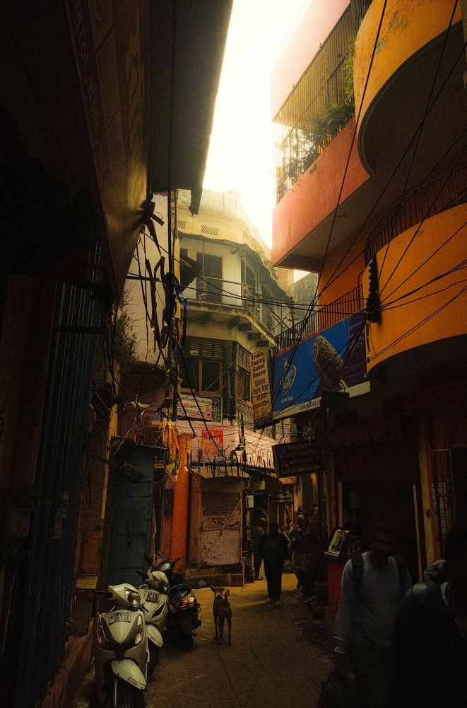 Photo #11532376