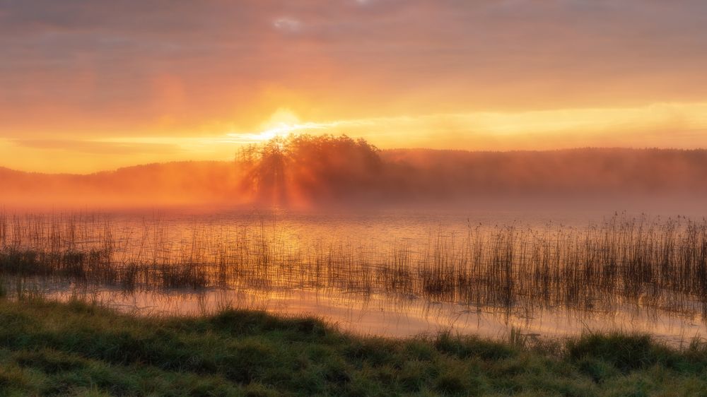 Photograph by Таипов Ильгиз