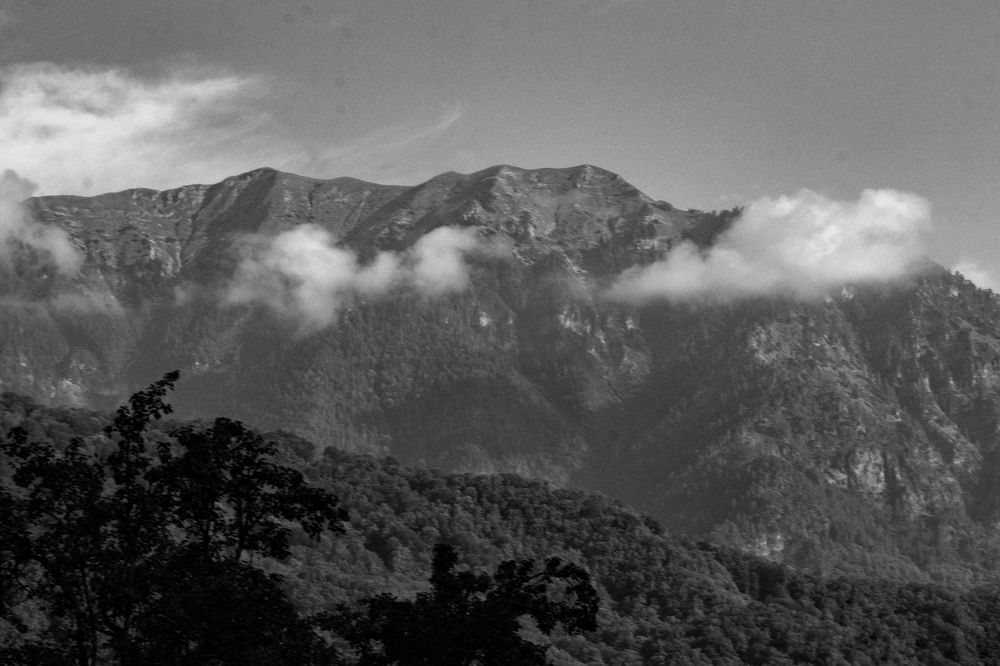 Photograph by Татьяна