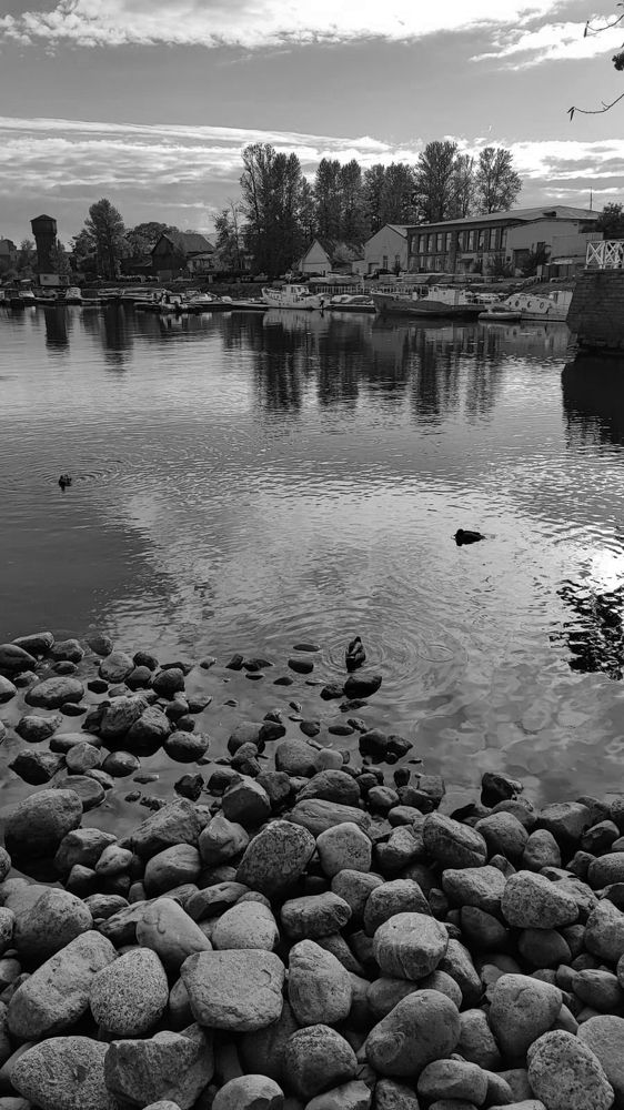 Photograph by Елена Юдина