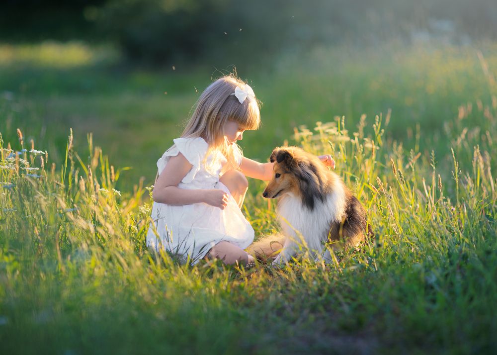 Photograph by Конный фотограф Яна Орлова