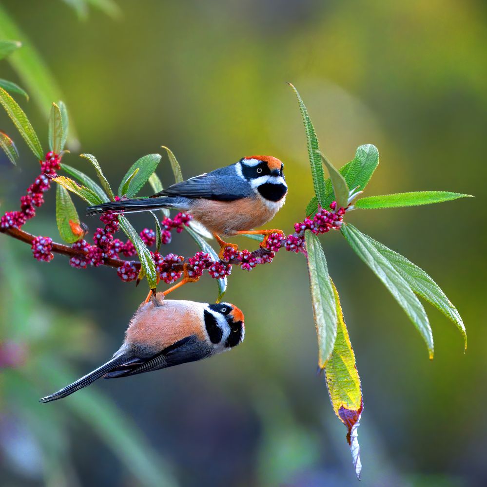 Photograph by Abhishek Manna