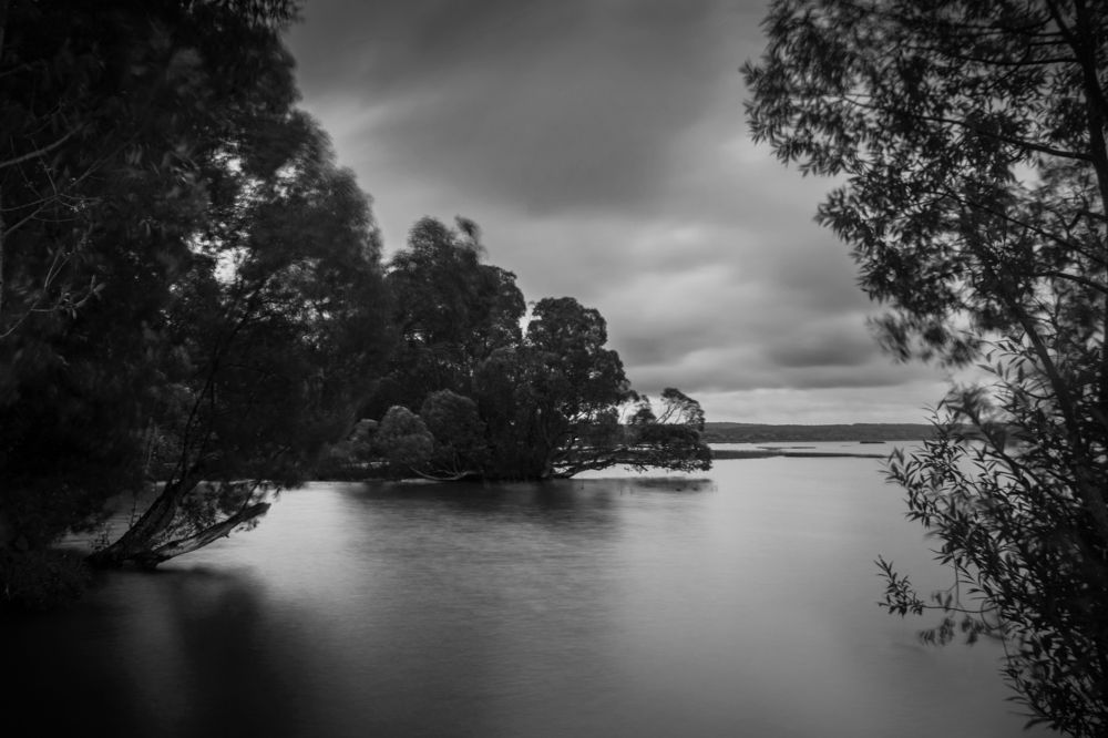 Photograph by Элен Пройс