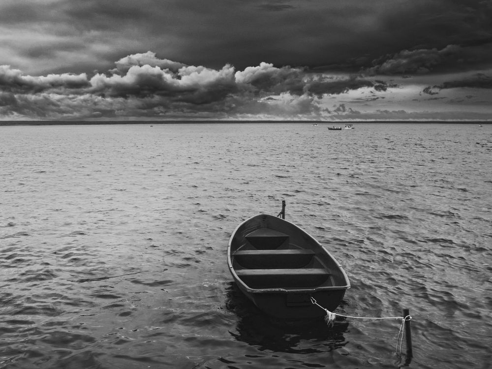 Photograph by Элен Пройс