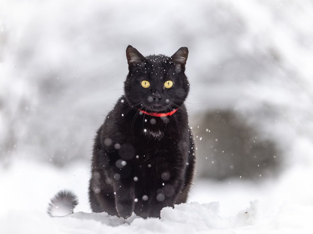 Photograph by Хабаров Сергей