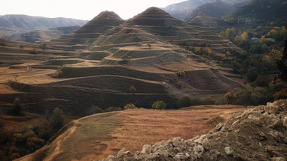 Photograph by Максимова Ольга