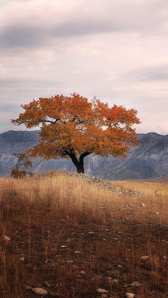 Photograph by Максимова Ольга