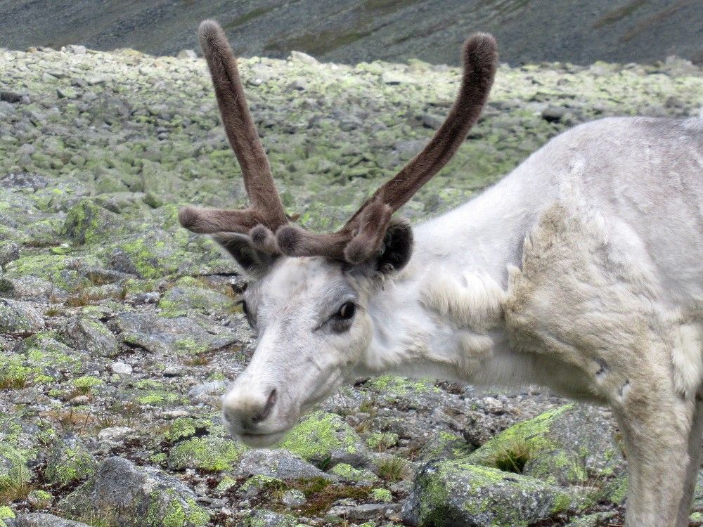 Photograph by Ольга Березовская