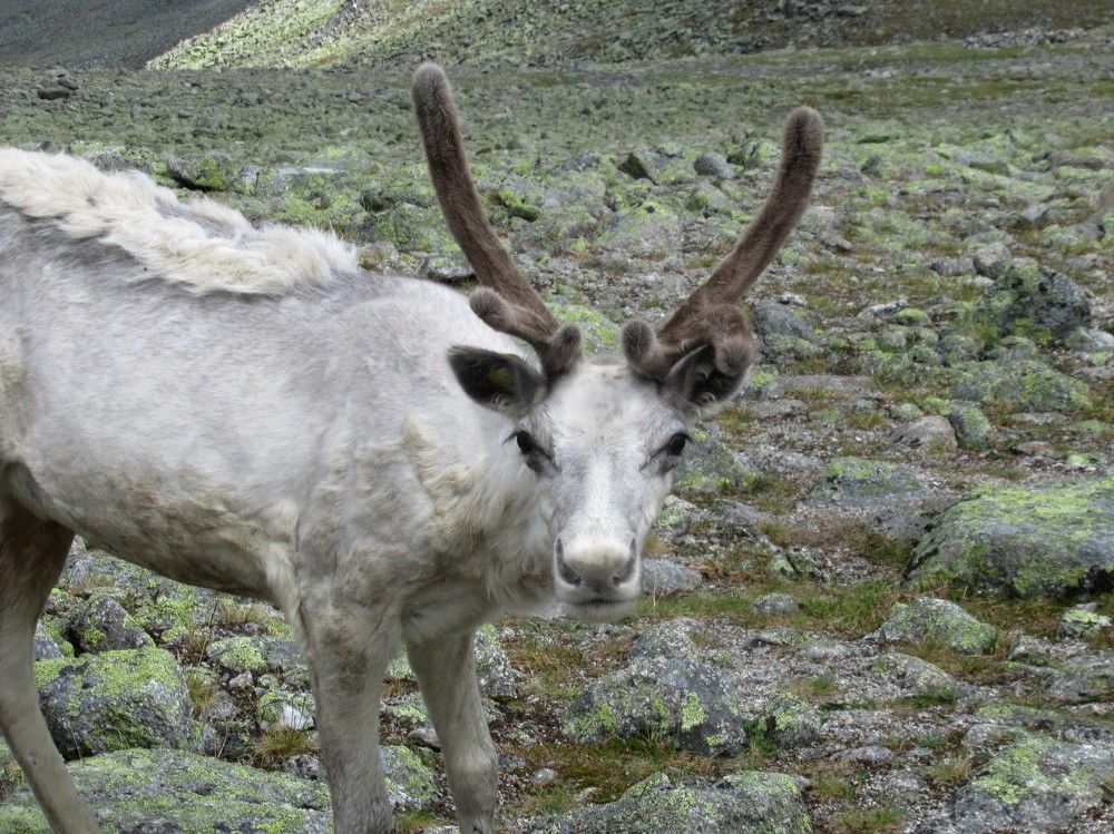 Photograph by Ольга Березовская